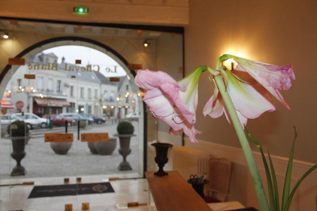 Logis Restaurant Le Cheval Blanc